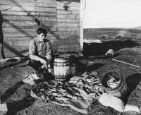 Md 147-01 Fiske, frvaring
